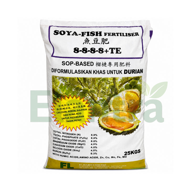 SOYA FISH 8-8-8